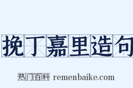 挽丁嘉里造句是什么意思的图片